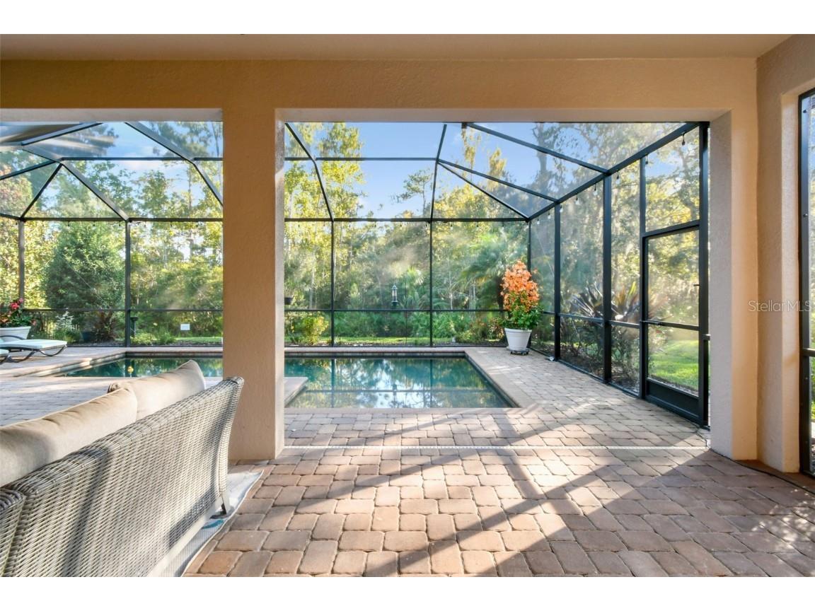 8543 Grand Alberato Road Tampa FL 33647 TB8445754 image41