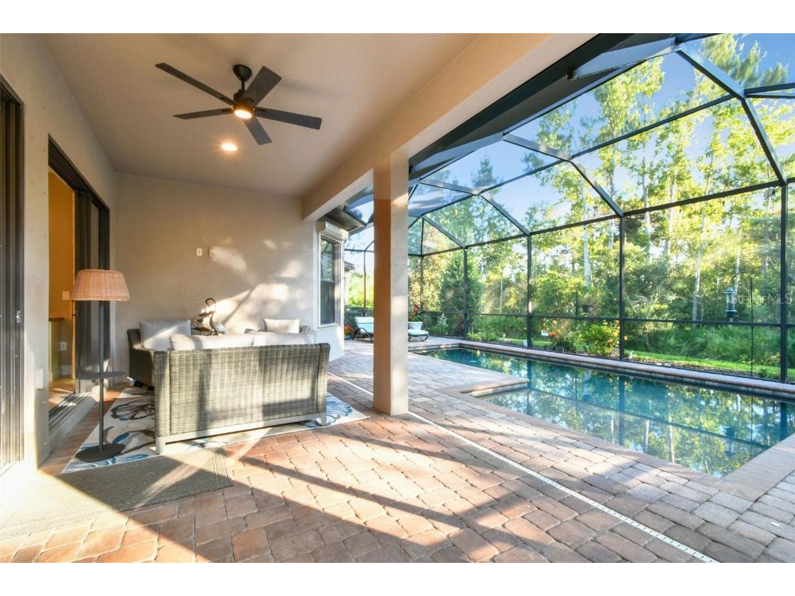 8543 Grand Alberato Road Tampa FL 33647 TB8445754 image42