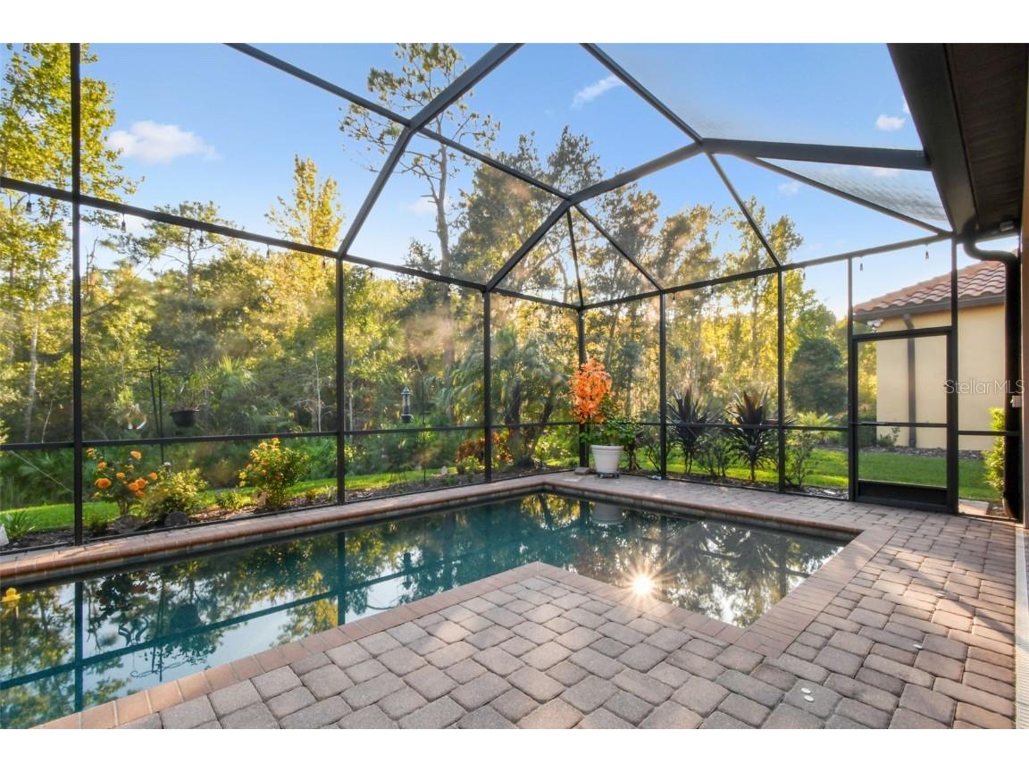 8543 Grand Alberato Road Tampa FL 33647 TB8445754 image44