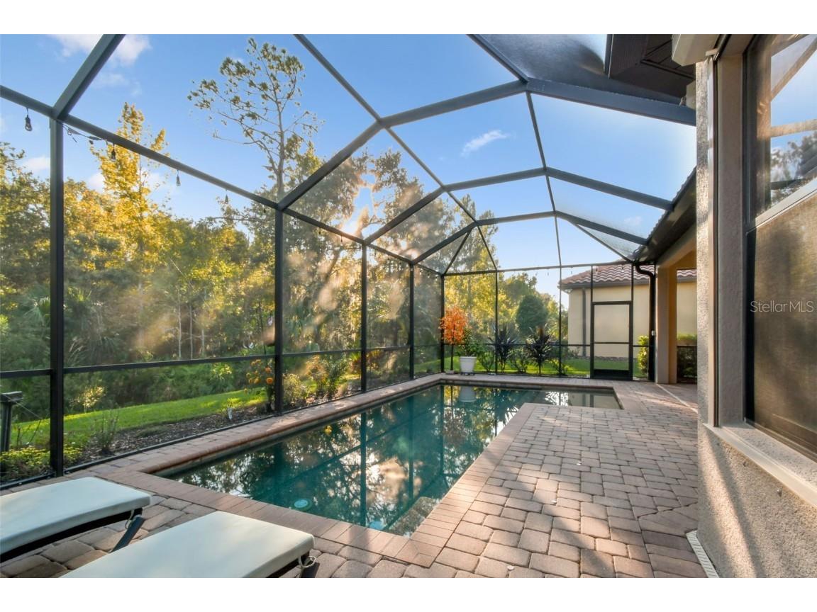 8543 Grand Alberato Road Tampa FL 33647 TB8445754 image45