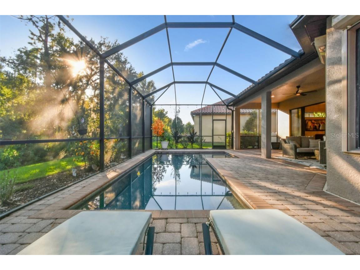 8543 Grand Alberato Road Tampa FL 33647 TB8445754 image46