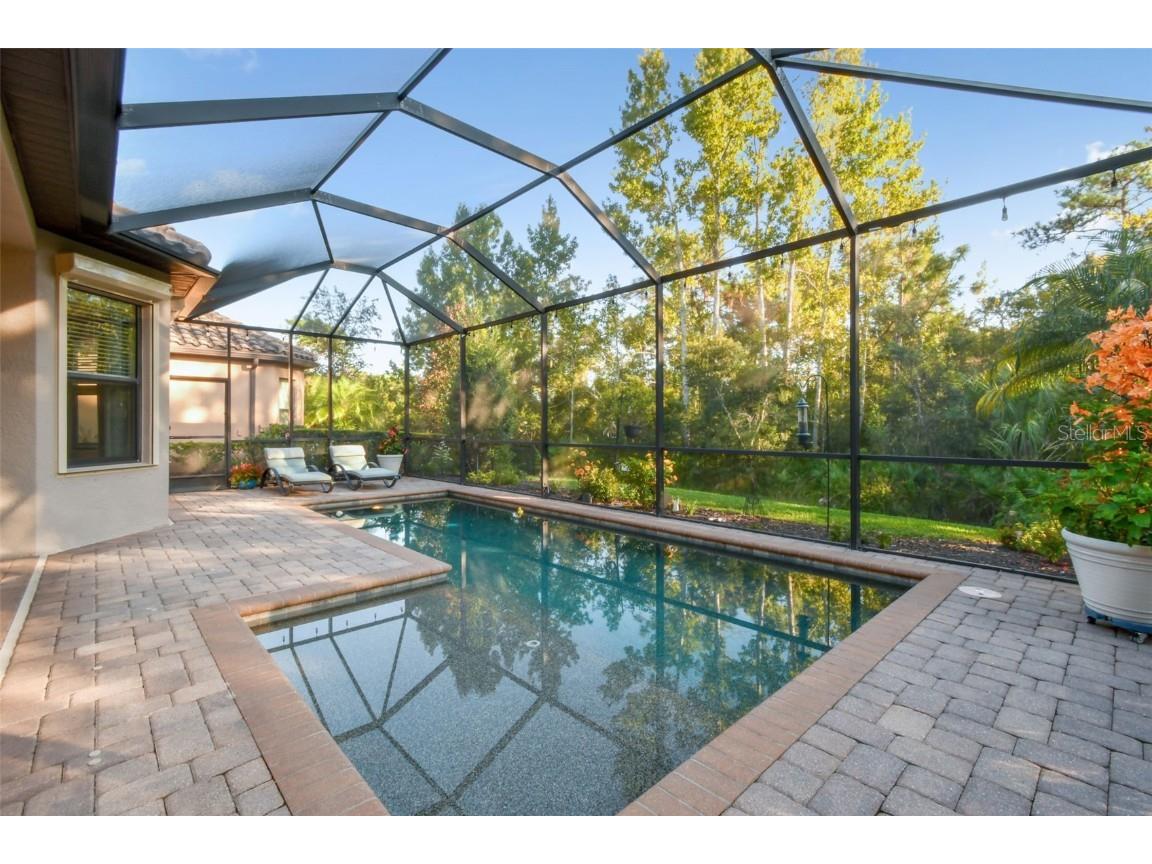 8543 Grand Alberato Road Tampa FL 33647 TB8445754 image49