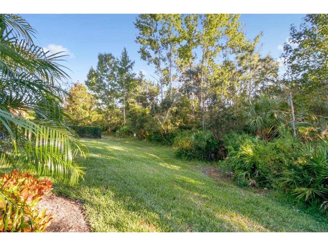 8543 Grand Alberato Road Tampa FL 33647 TB8445754 image50