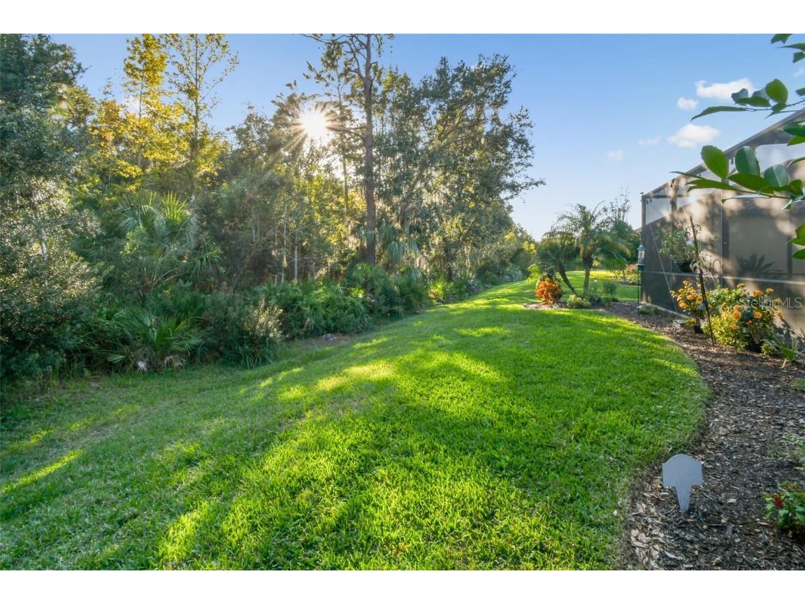 8543 Grand Alberato Road Tampa FL 33647 TB8445754 image53