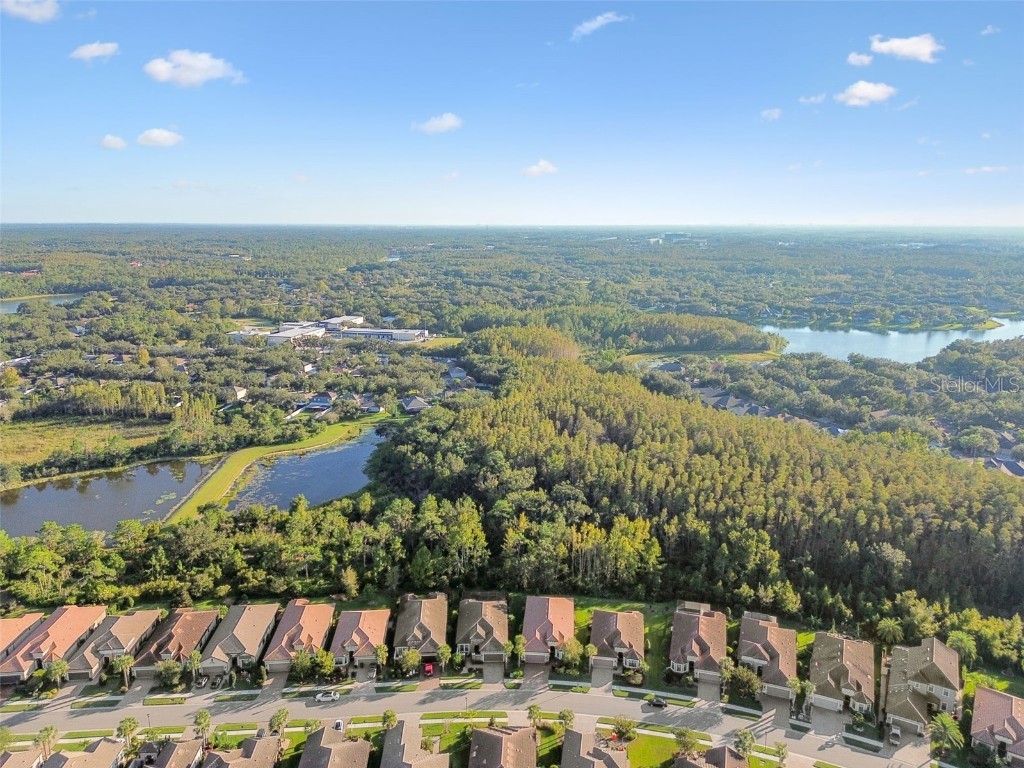 8543 Grand Alberato Road Tampa FL 33647 TB8445754 image56