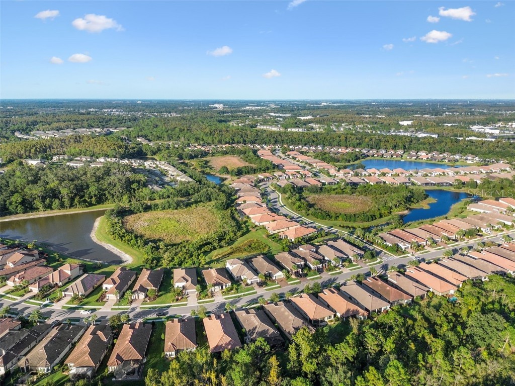 8543 Grand Alberato Road Tampa FL 33647 TB8445754 image57