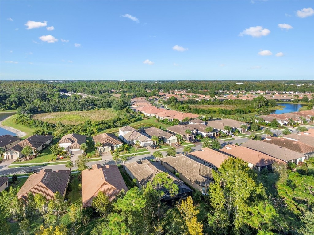 8543 Grand Alberato Road Tampa FL 33647 TB8445754 image58