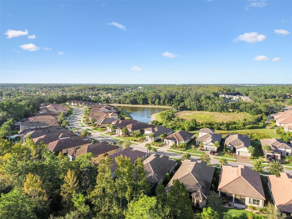 8543 Grand Alberato Road Tampa FL 33647 TB8445754 image59