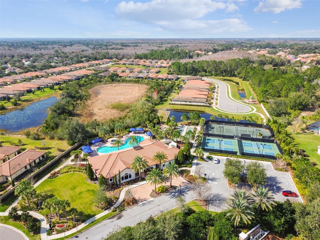 8543 Grand Alberato Road Tampa FL 33647 TB8445754 image81