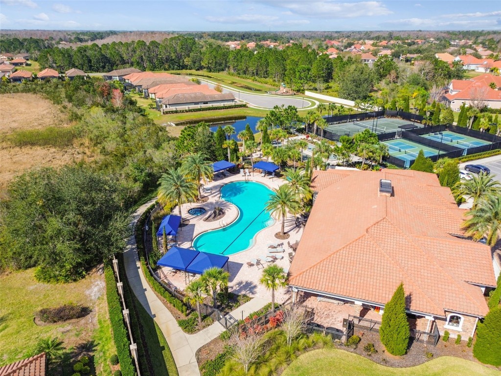 8543 Grand Alberato Road Tampa FL 33647 TB8445754 image82