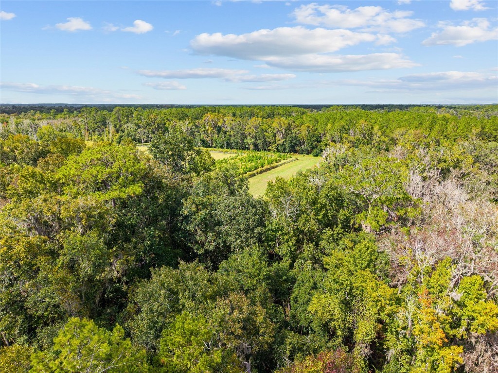 8543 NW 71 Terrace Gainesville FL 32653 GC535440 image11