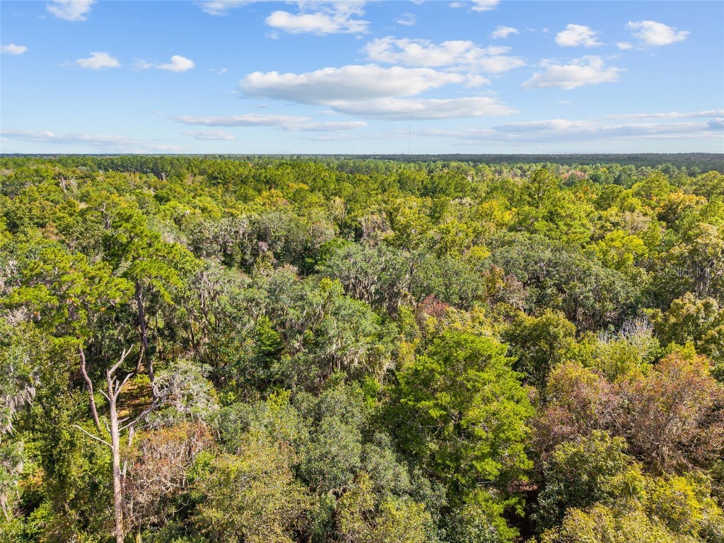 8543 NW 71 Terrace Gainesville FL 32653 GC535440 image13