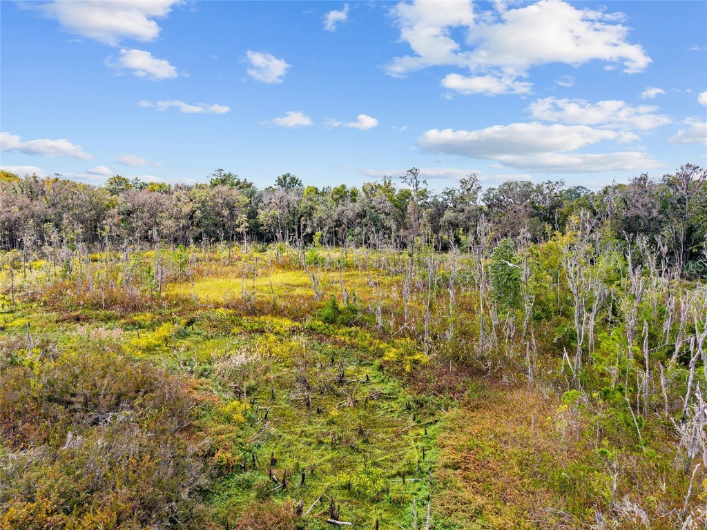 8543 NW 71 Terrace Gainesville FL 32653 GC535440 image20