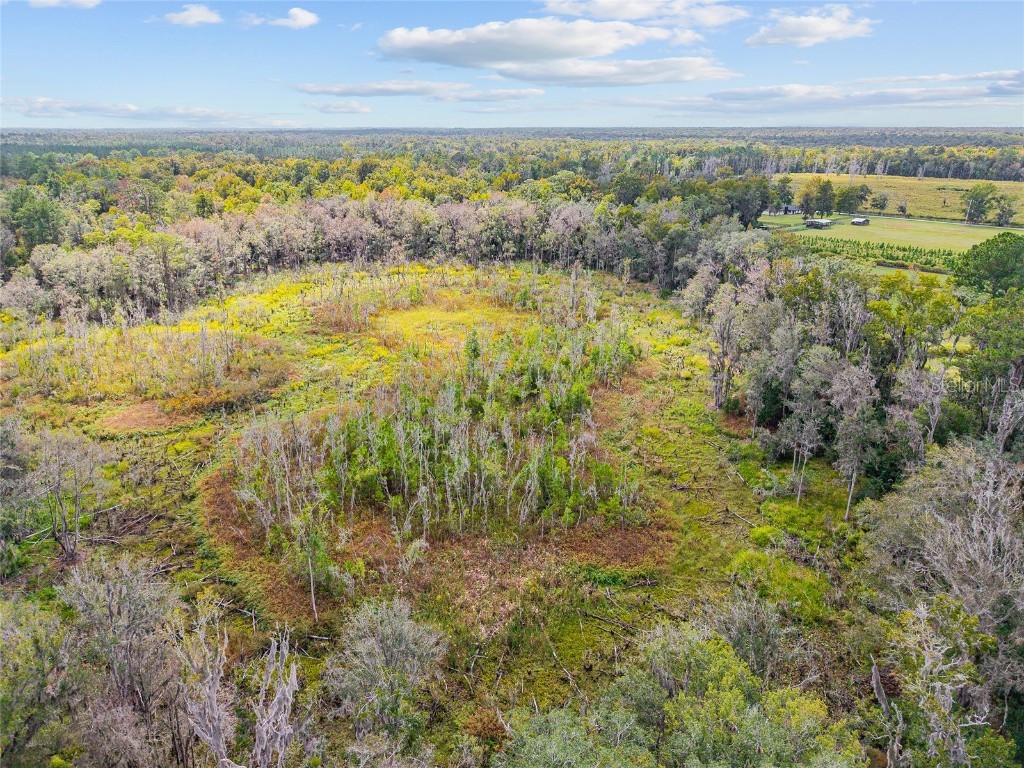 8543 NW 71 Terrace Gainesville FL 32653 GC535440 image21