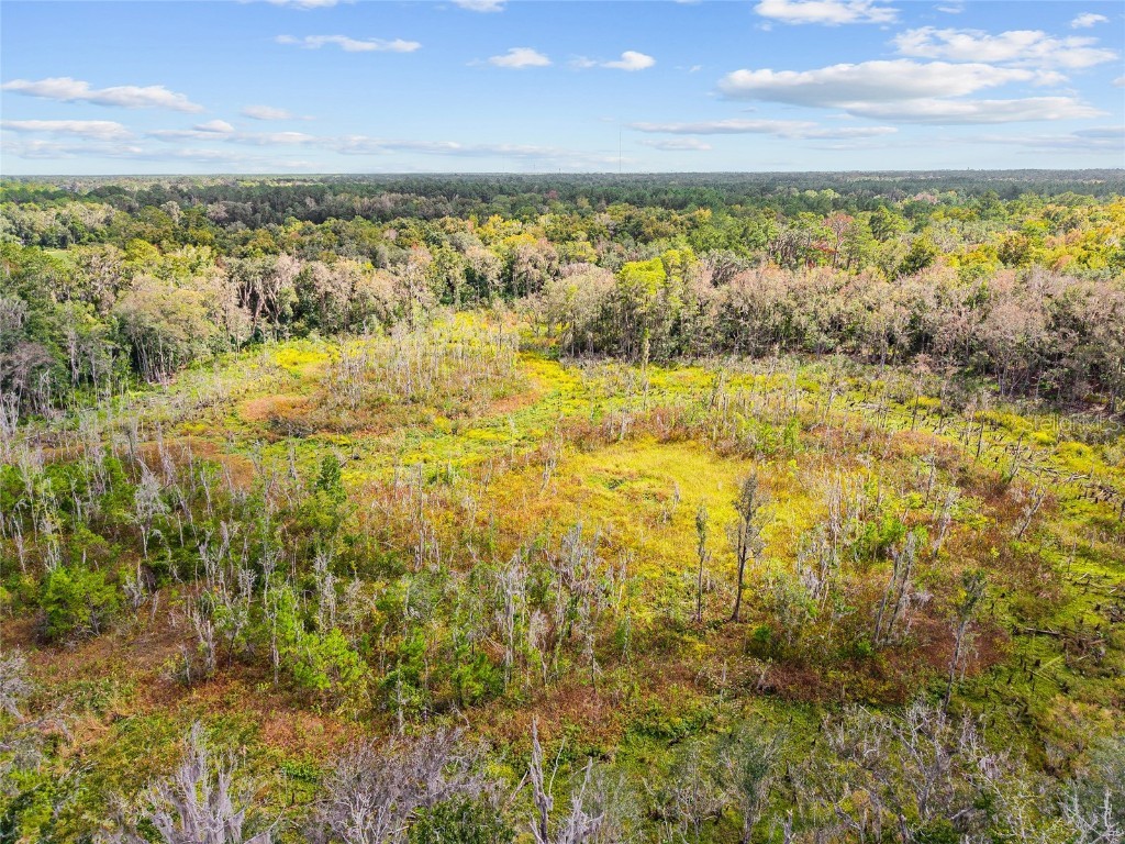 8543 NW 71 Terrace Gainesville FL 32653 GC535440 image22