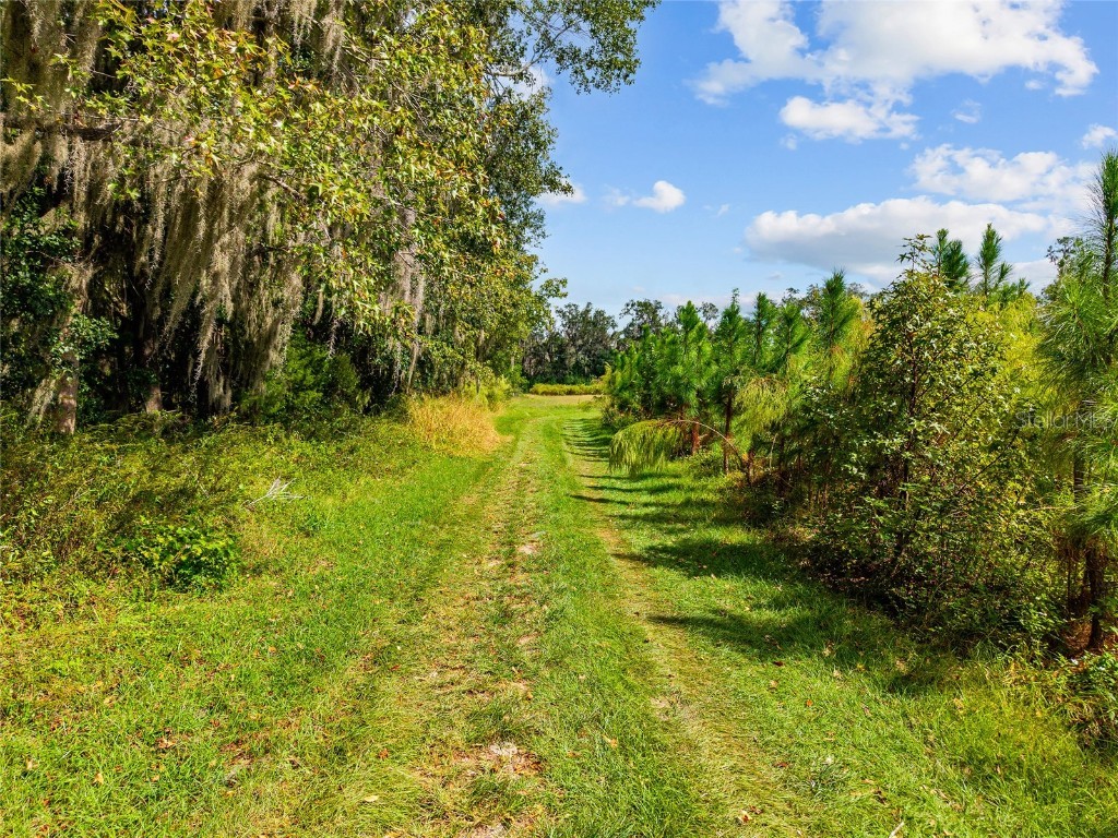 8543 NW 71 Terrace Gainesville FL 32653 GC535440 image8