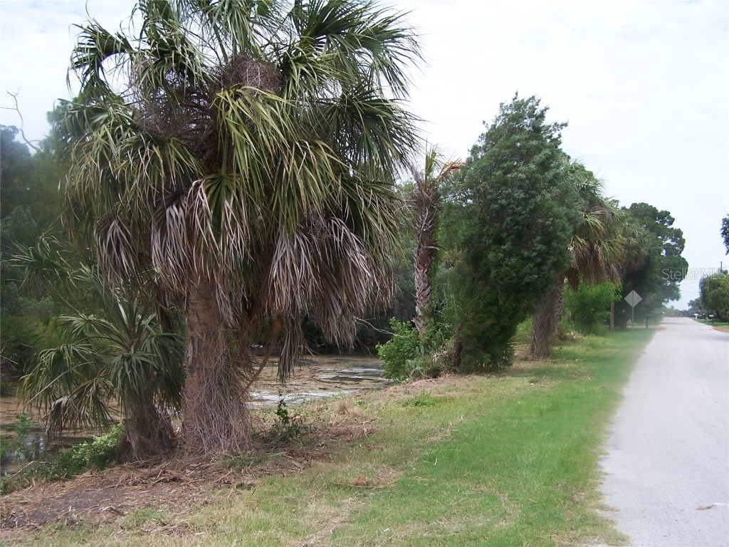 8545 Betty Street Port Richey FL 34668 W7858303 image1