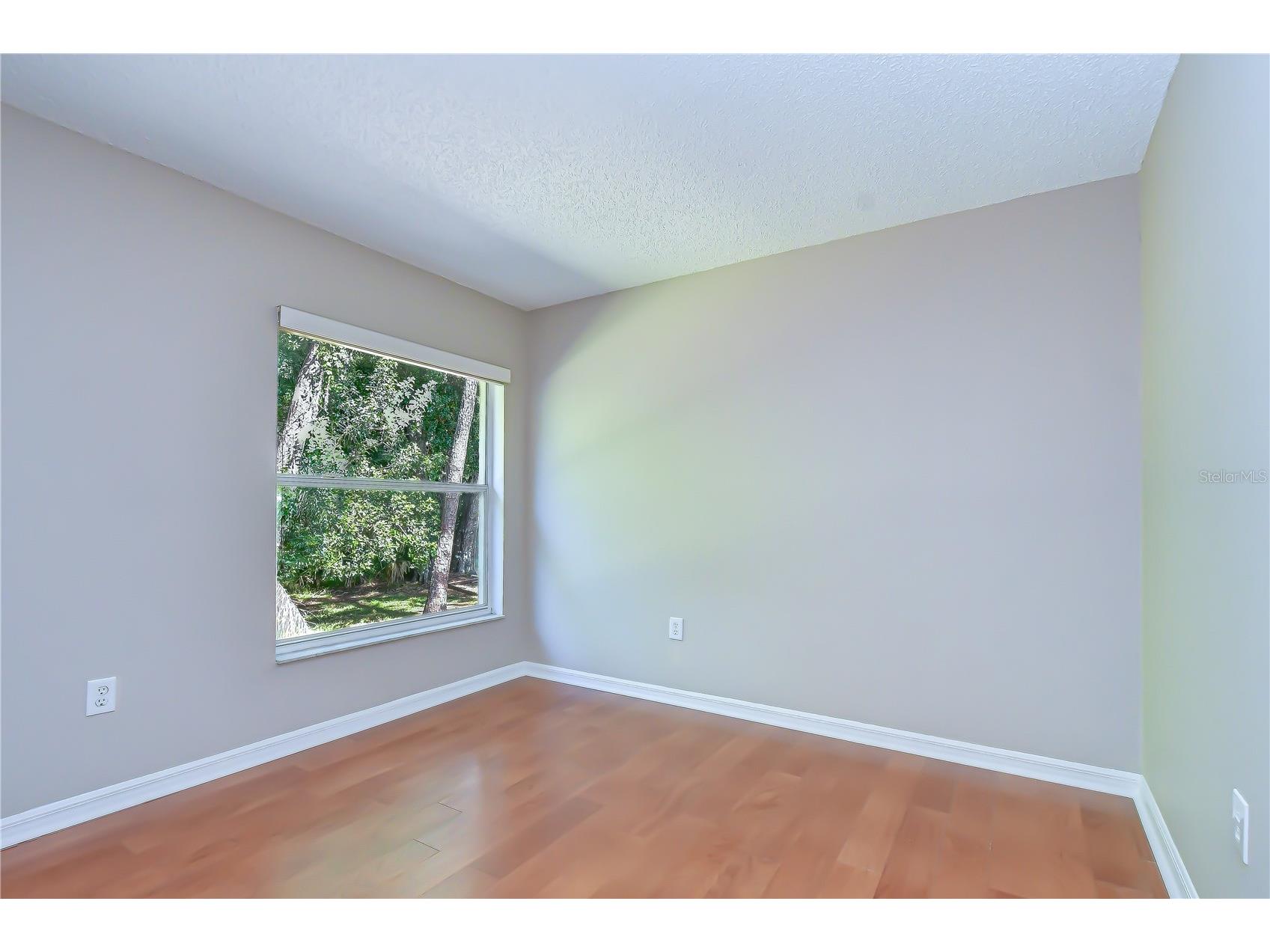 8545 Manassas Road Tampa FL 33635 TB8518213 image17