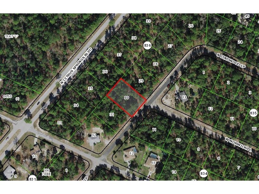 8545 N Linwood Loop Citrus Springs FL 34433 A4585343 image1