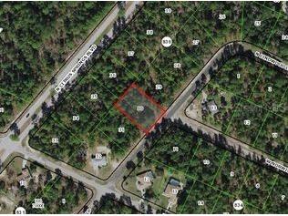 8545 N Wallingford Avenue Dunnellon FL 34434 O6339965 image2