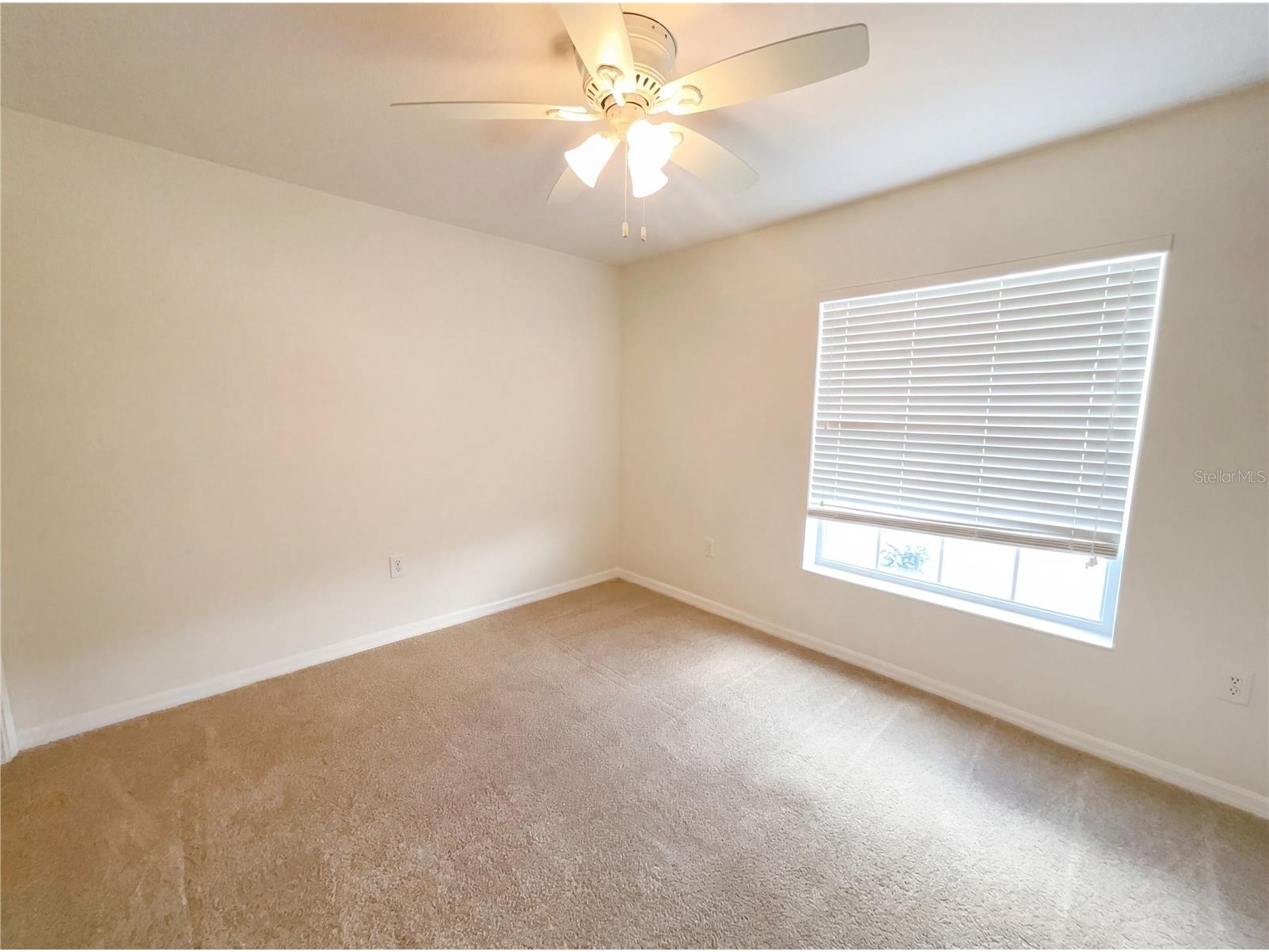 8545 Trail Wind Drive Tampa FL 33647 O6388638 image17