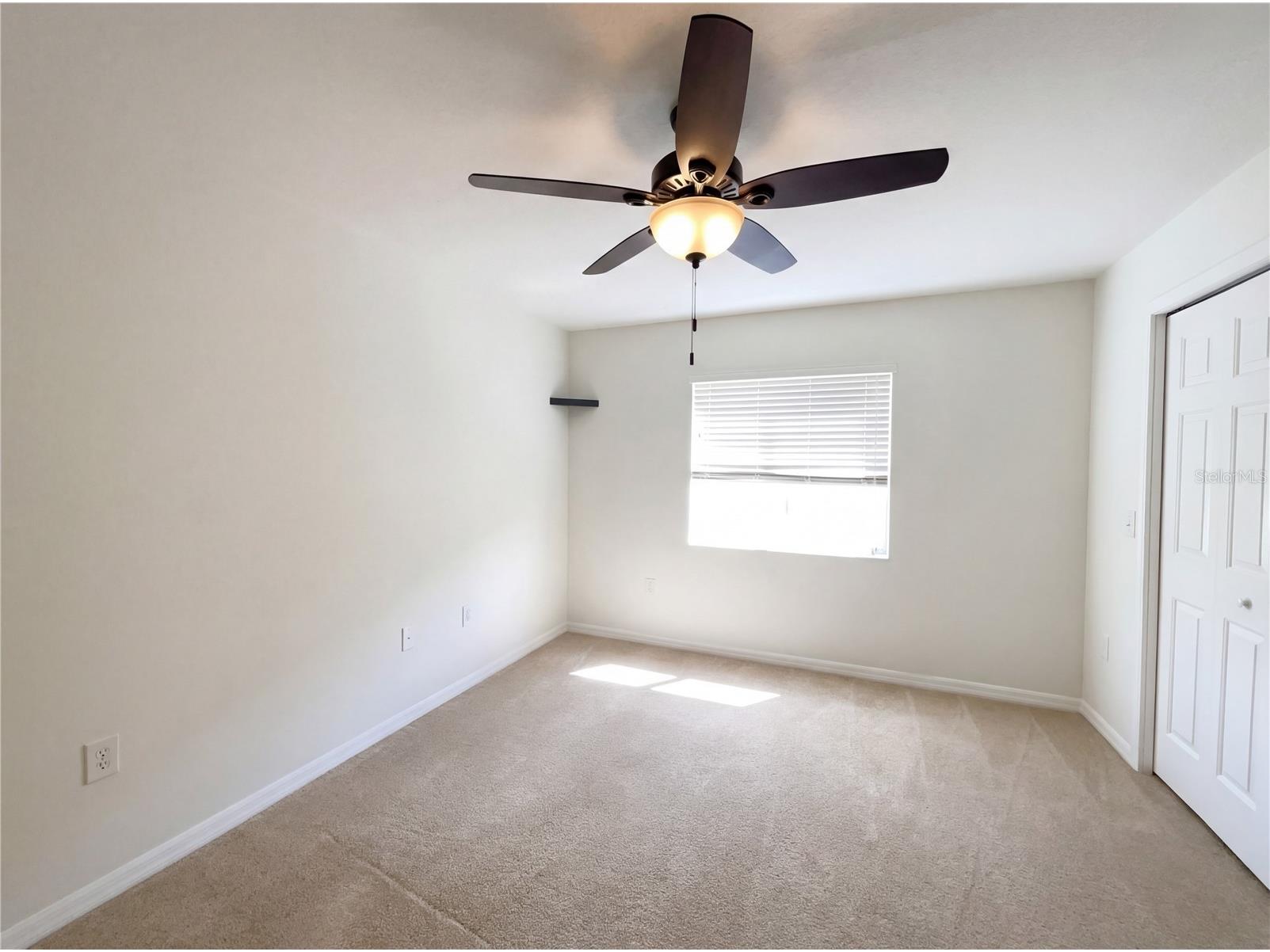 8545 Trail Wind Drive Tampa FL 33647 O6388638 image21