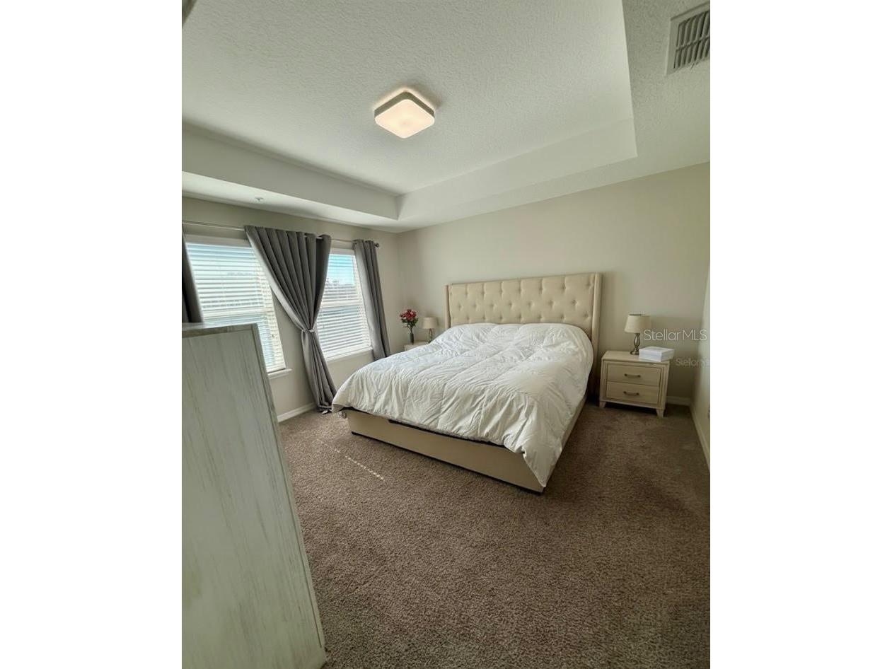 8545 Vedder Lane Orlando FL 32832 O6335657 image12