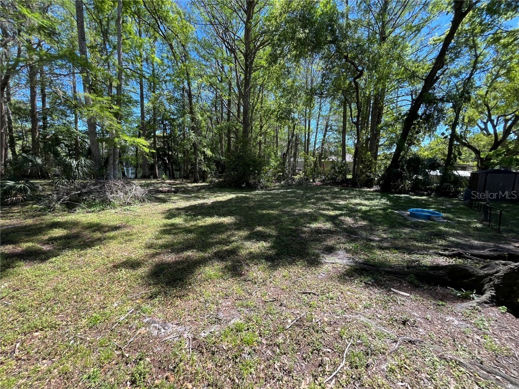 8546 Cameo Drive New Port Richey FL 34654 TB8454459 image11