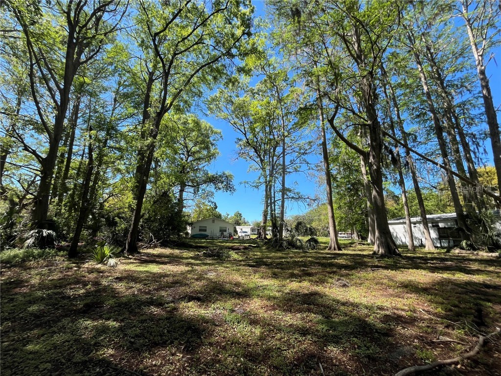 8546 Cameo Drive New Port Richey FL 34654 TB8454459 image7