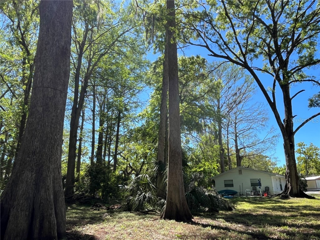 8546 Cameo Drive New Port Richey FL 34654 TB8454459 image8