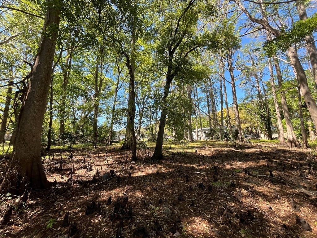 8546 Cameo Drive New Port Richey FL 34654 TB8454459 image9