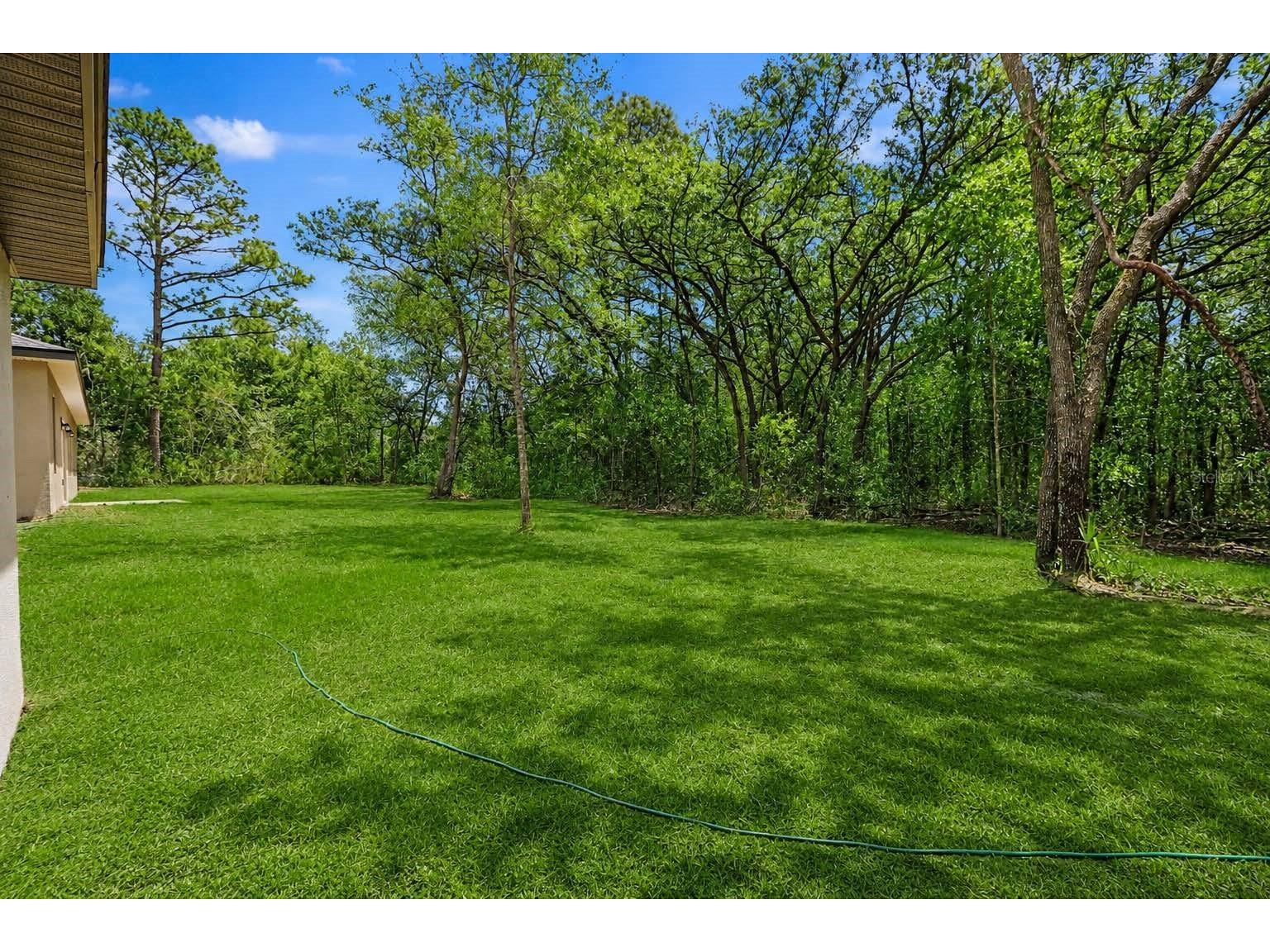 8547 N Trojan Drive Citrus Springs FL 34433 TB8505573 image34