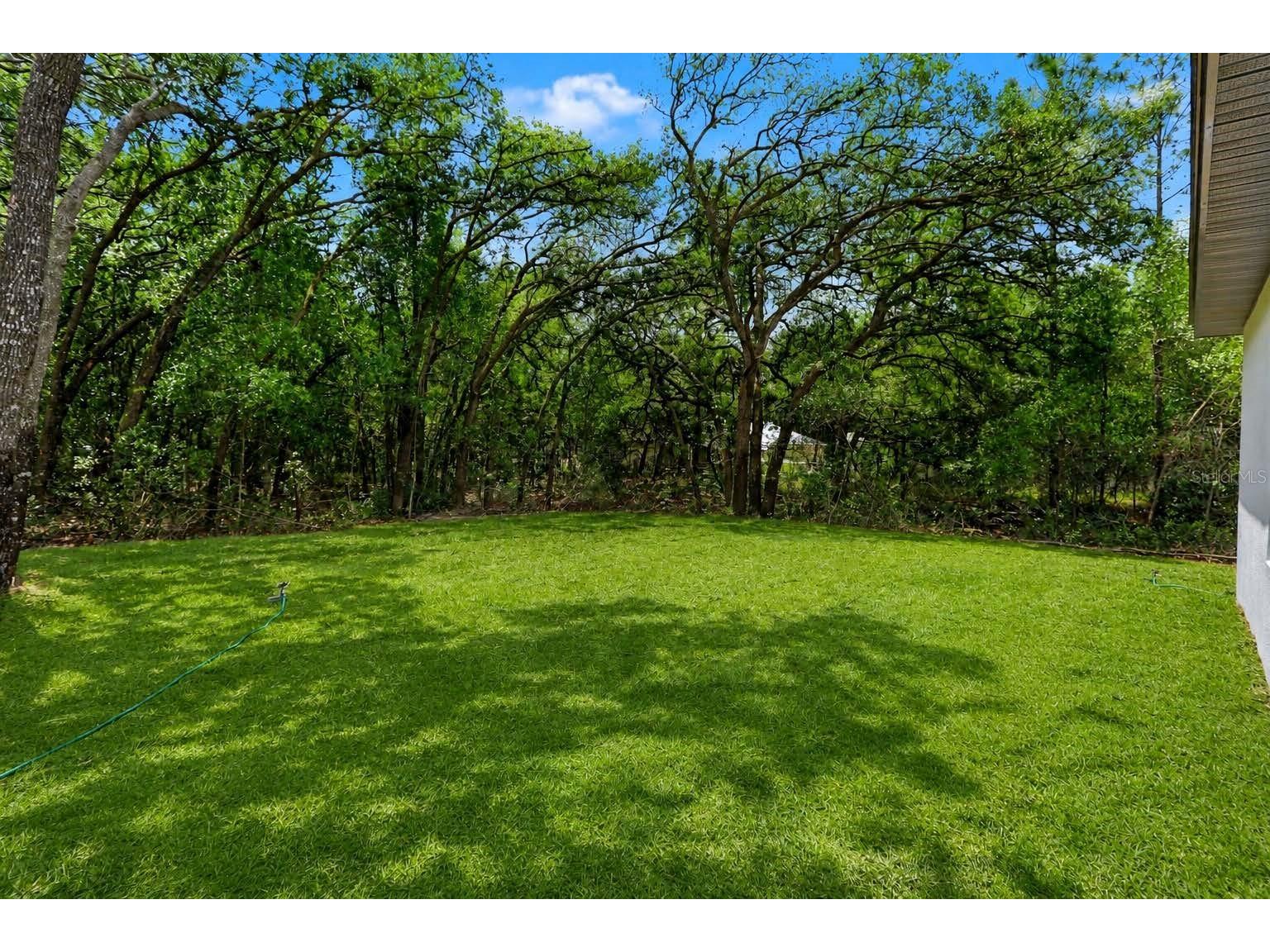8547 N Trojan Drive Citrus Springs FL 34433 TB8505573 image37