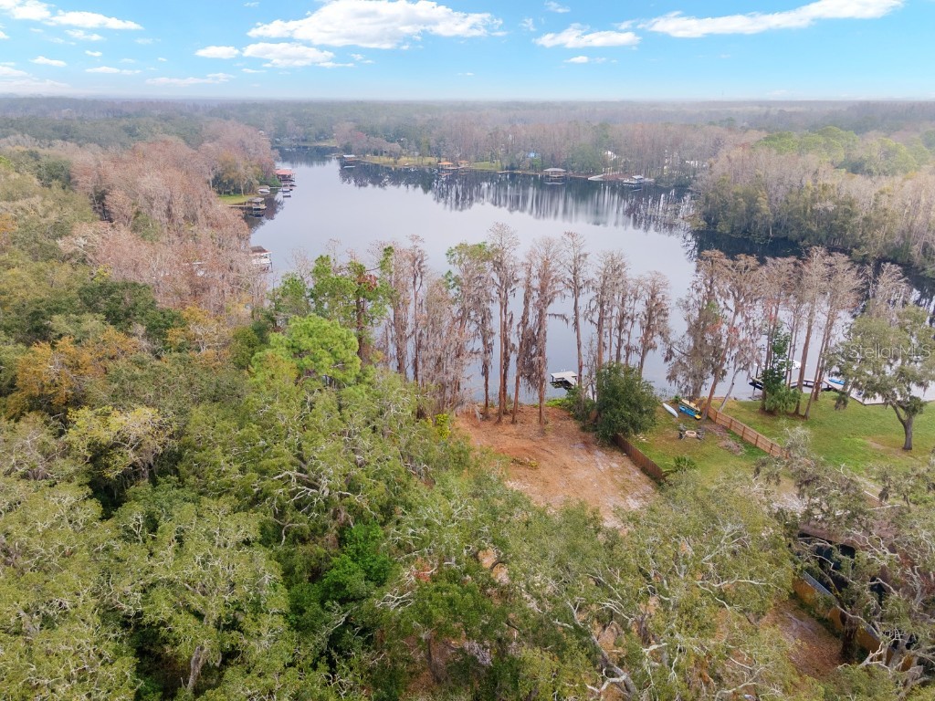 8547 Old Country Road Odessa FL 33556 - LAKE WOOD TB8348226 image3