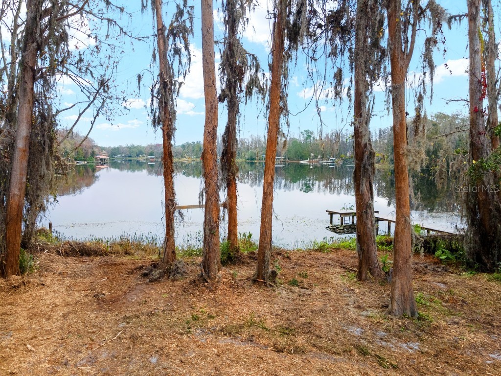 8547 Old Country Road Odessa FL 33556 - LAKE WOOD TB8348226 image6