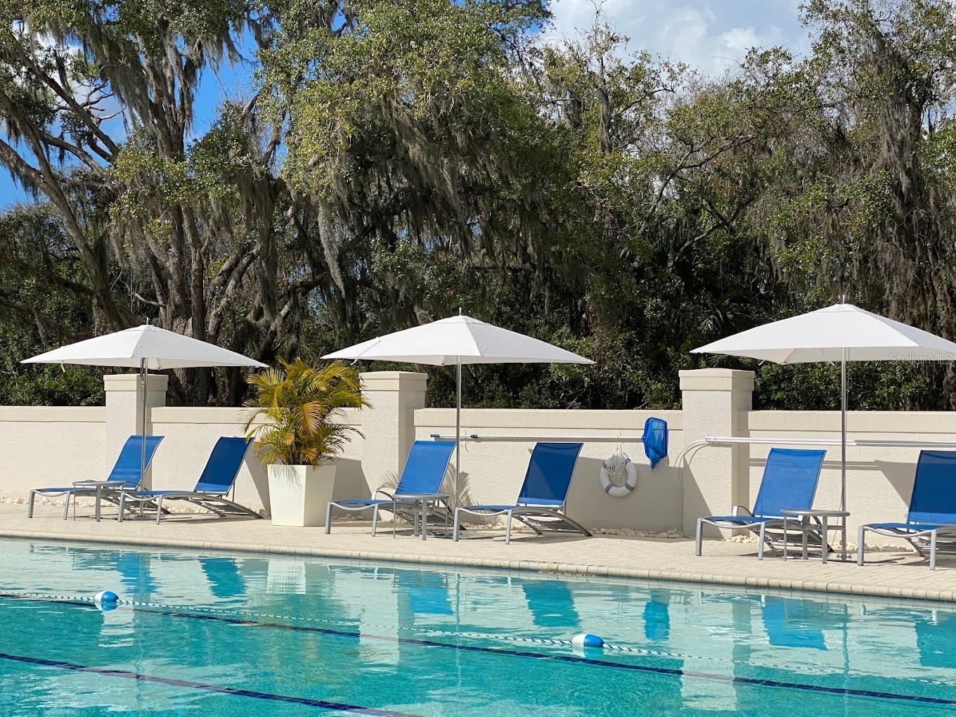 8549 54th Avenue Circle E Bradenton FL 34211 A4689579 image38