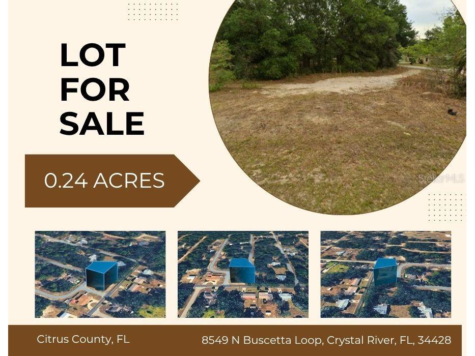 8549 N Buscetta Loop Crystal River FL 34428 TB8520703 image1