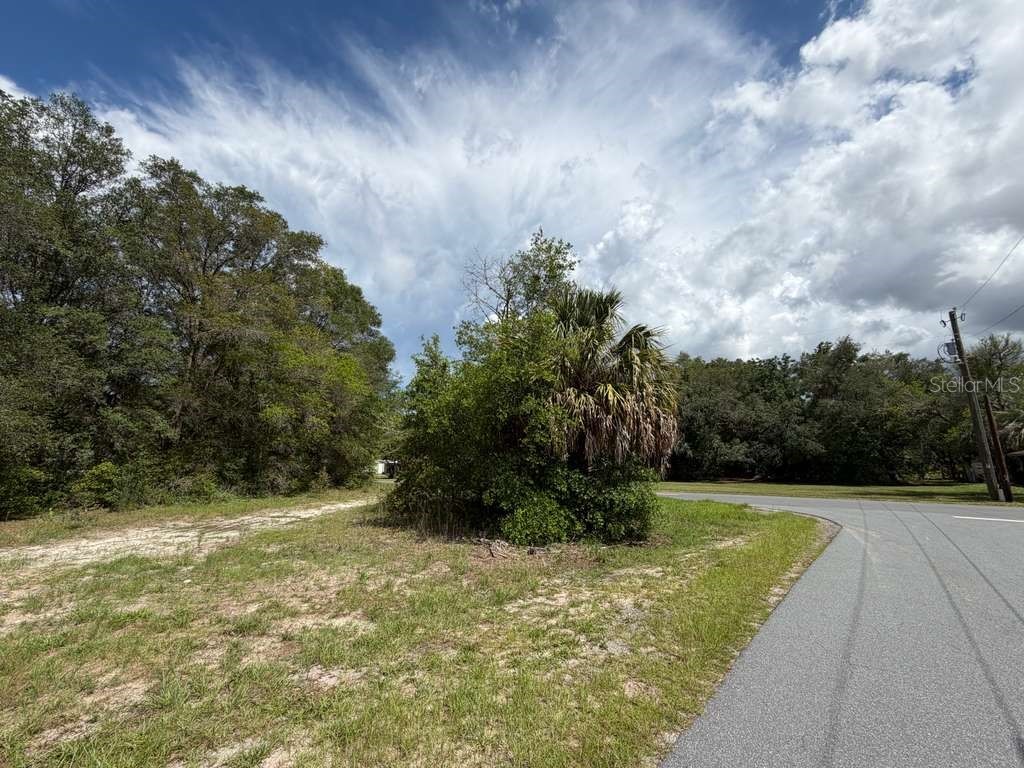 8549 N Buscetta Loop Crystal River FL 34428 TB8520703 image13