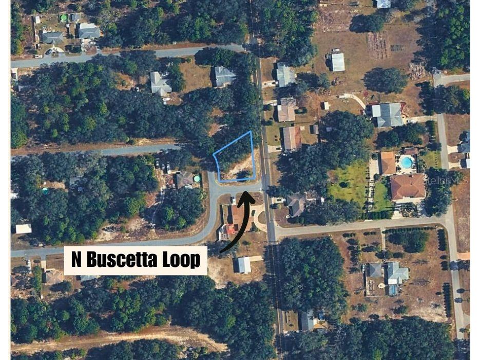 8549 N Buscetta Loop Crystal River FL 34428 TB8520703 image3