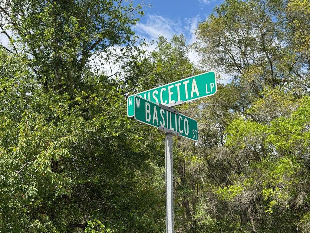 8549 N Buscetta Loop Crystal River FL 34428 TB8520703 image6