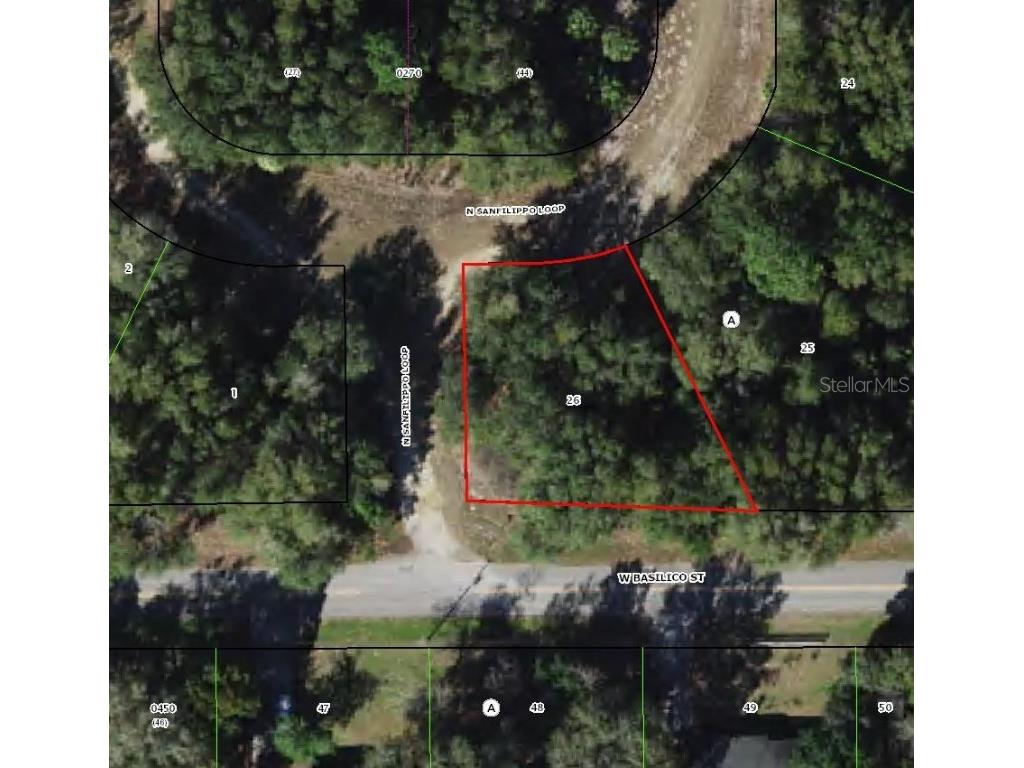 8549 N San Filippo Loop Crystal River FL 34428 TB8452072 image1