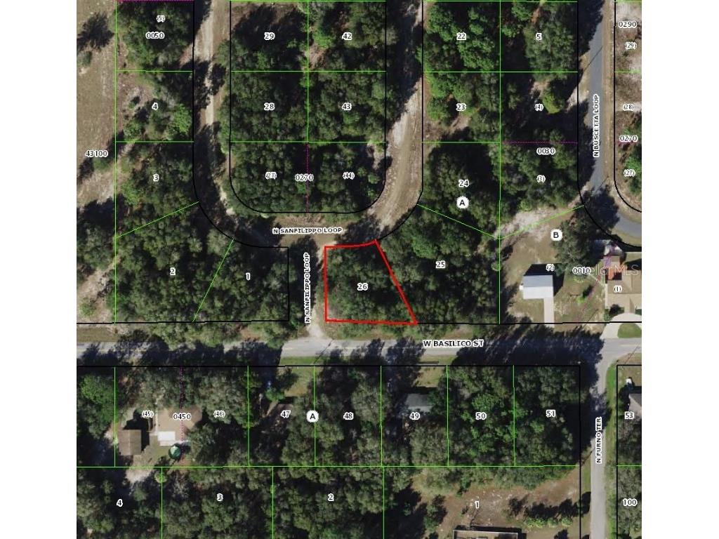 8549 N San Filippo Loop Crystal River FL 34428 TB8452072 image2