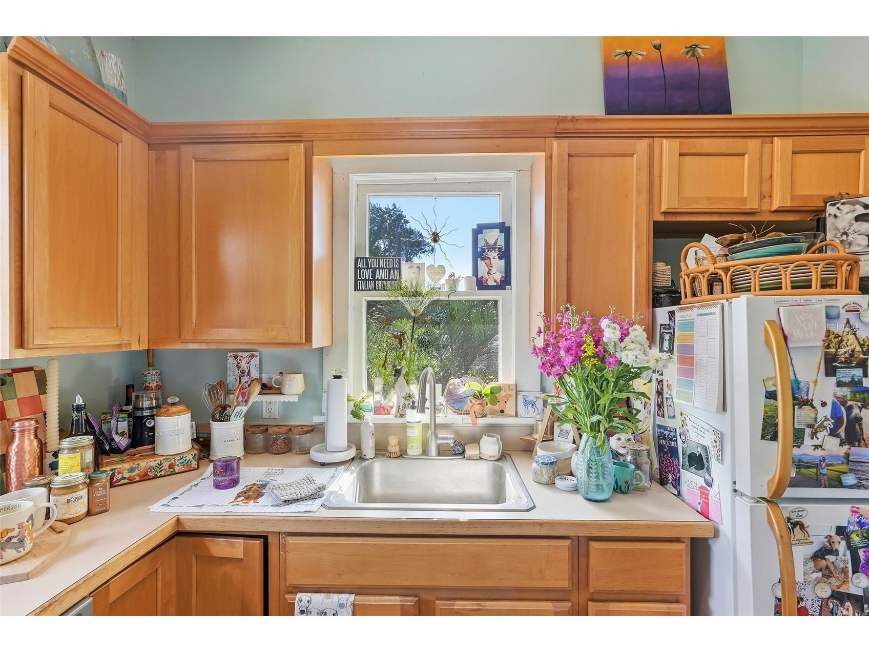 855 28th Avenue N Saint Petersburg FL 33704 TB8509905 image11