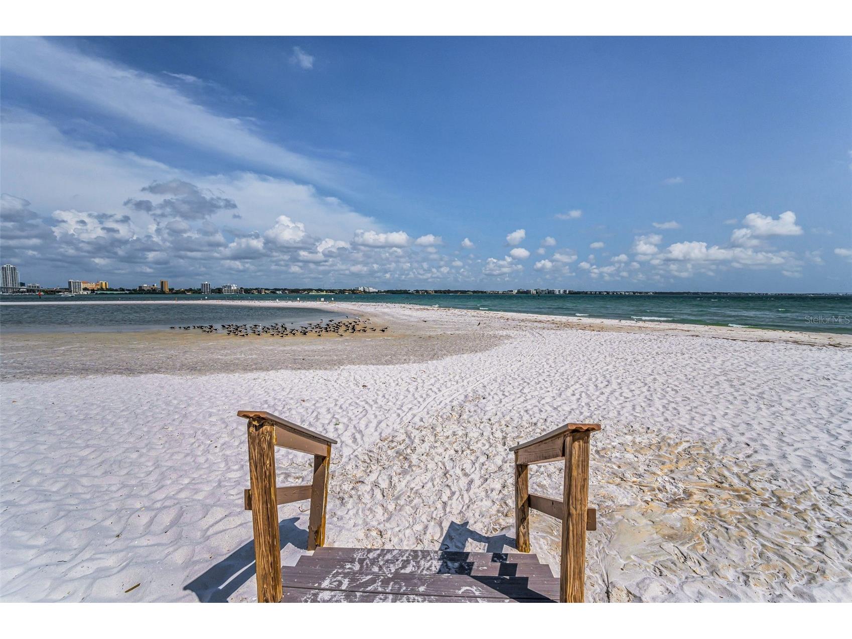 855 Bayway Boulevard #708 Clearwater Beach FL 33767 TB8510623 image43