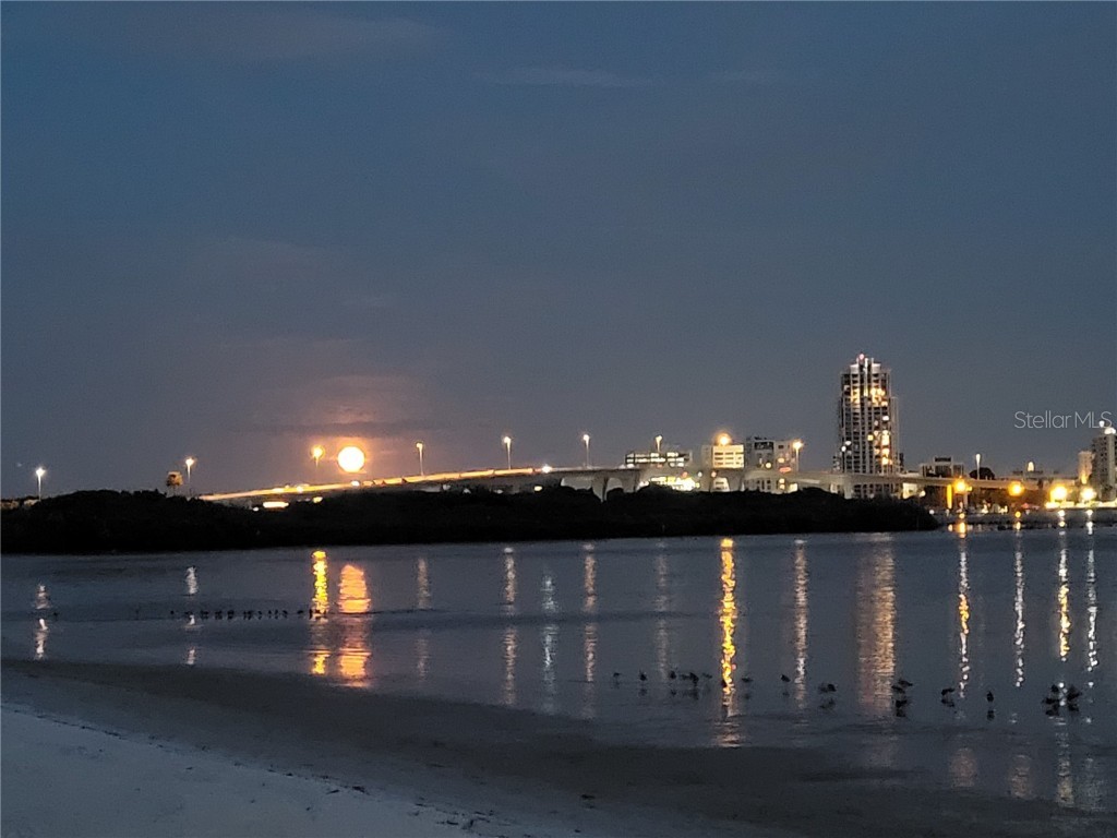 855 Bayway Boulevard #806 Clearwater Beach FL 33767 TB8420758 image15