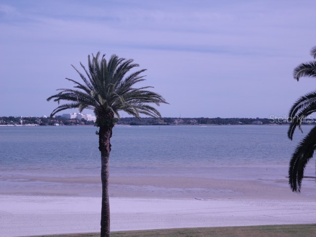 855 Bayway Boulevard #806 Clearwater Beach FL 33767 TB8420758 image36