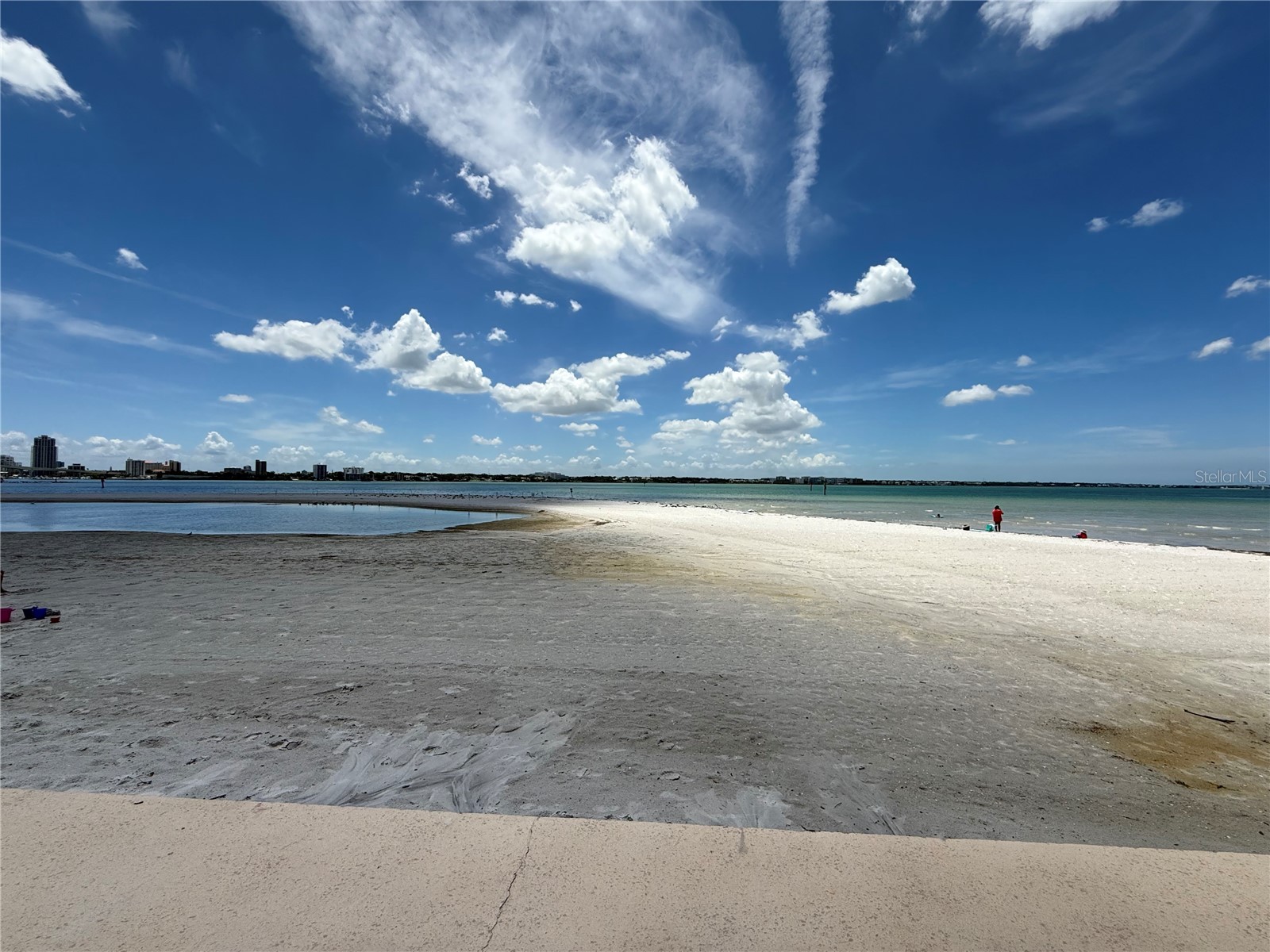855 Bayway Boulevard #908 Clearwater Beach FL 33767 TB8399395 image45