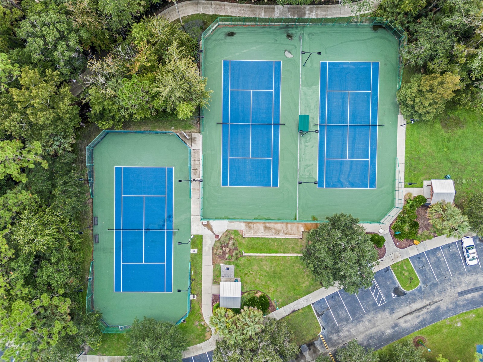 855 Blue Sage Street #102 Celebration FL 34747 O6401932 image51