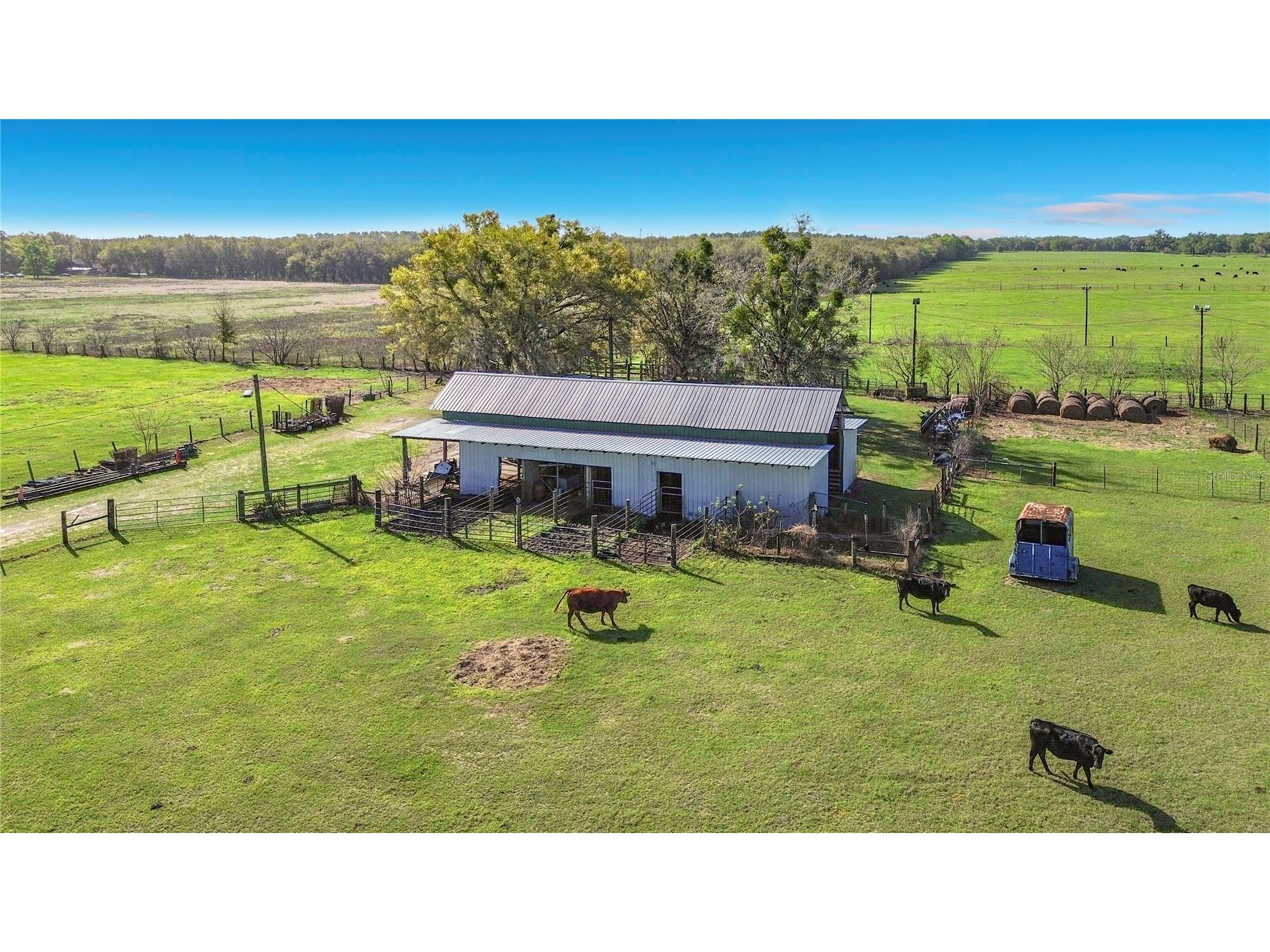 855 NE 107th Road Oxford FL 34484 TB8486454 image11