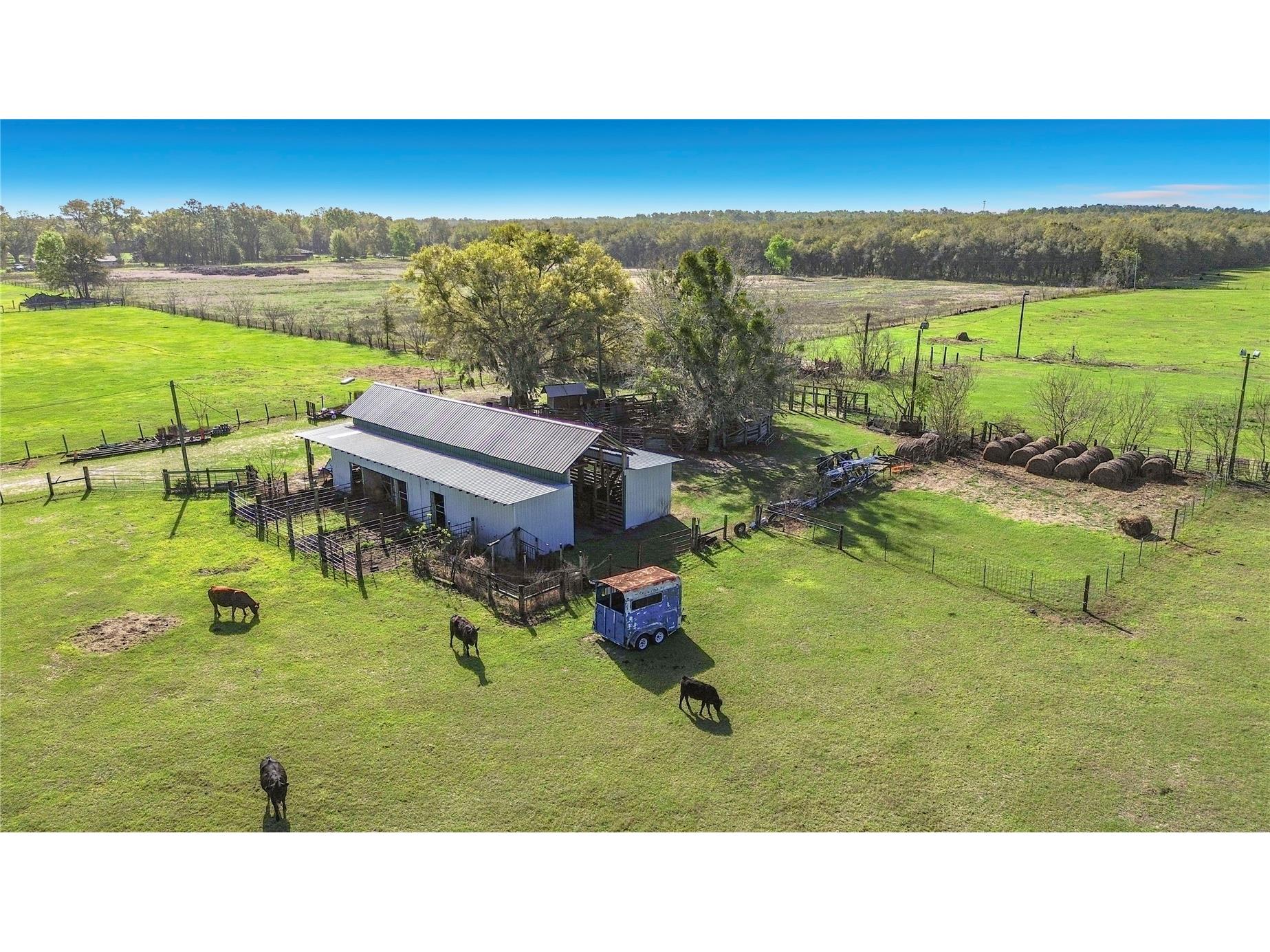 855 NE 107th Road Oxford FL 34484 TB8486454 image16